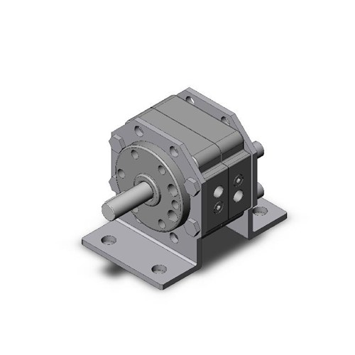 SMC CRB1LW63-100S-XN