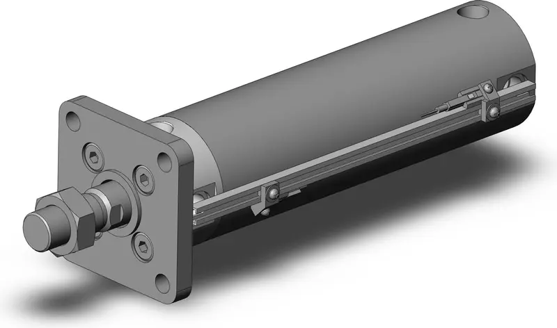 SMC CDG1FN50-125Z-M9BASBPC-XC13A