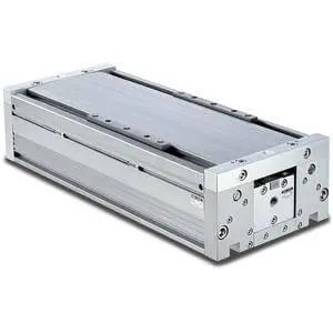 SMC MY1HT50TF-800L