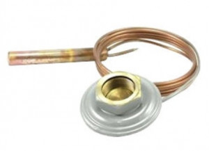 SPORLAN 181537