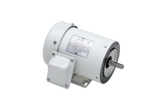 Sterling Electric DHY154PHA AC Motors