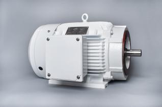 Sterling Electric TI0754PHI AC Motors