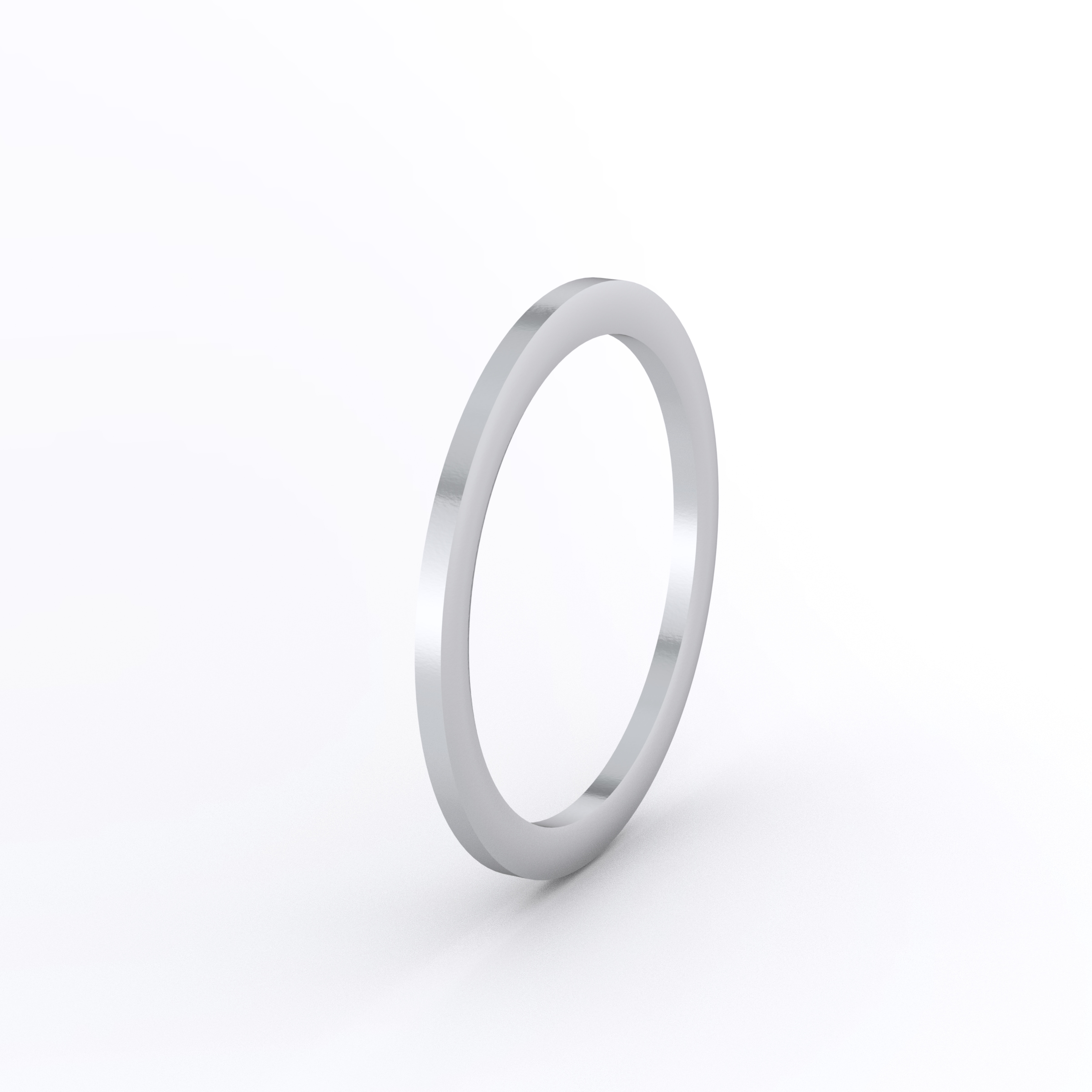 304L Stainless Steel Gasket for 1 in. Male ISO Parallel Thread (RS) Fitting