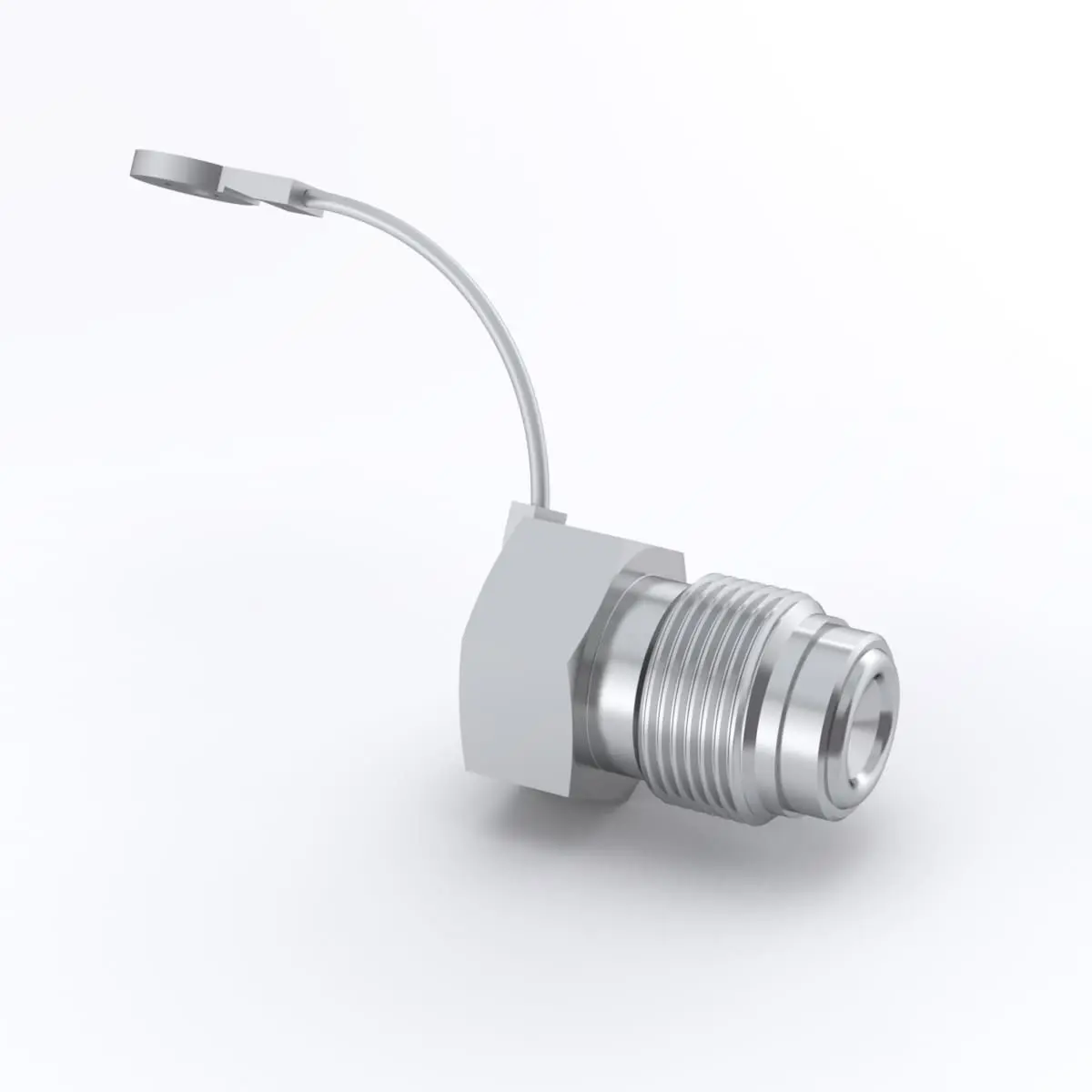 Swagelok 316 Stainless Steel VCR Face Seal Fitting, 1/4 in. Plug with Lanyard