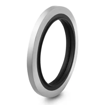 Swagelok Stainless Steel Gasket for 1/2 in. ISO Parallel Thread (RS) Fitting, Buna Inner Ring