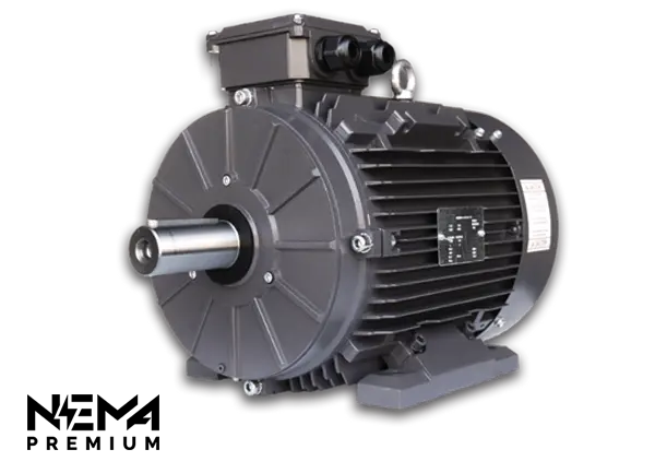 TechTop GR3-AL-TF-100LB3-8-B-D-1.5 Electric Motor