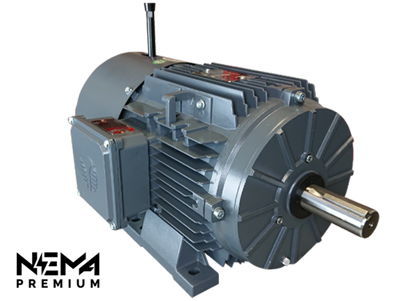 TechTop GR3-AL-TF-112MB3-2-B-D-5.5-BRK Electric Motor