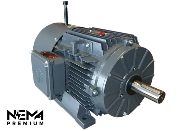 TechTop GR3-AL-TF-63B35-4-B-D-.33-BRK Electric Motor