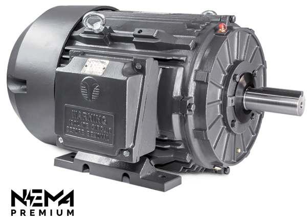 TechTop GR3-CI-TF-143T-2-B-D-1 Electric Motor