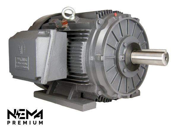 TechTop OX3-CI-TF-447T-6-RR-E-150 Electric Motor