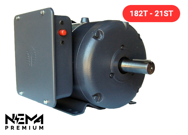 TechTop RD1-RS-TF-215T-4-B-B-10 Electric Motor