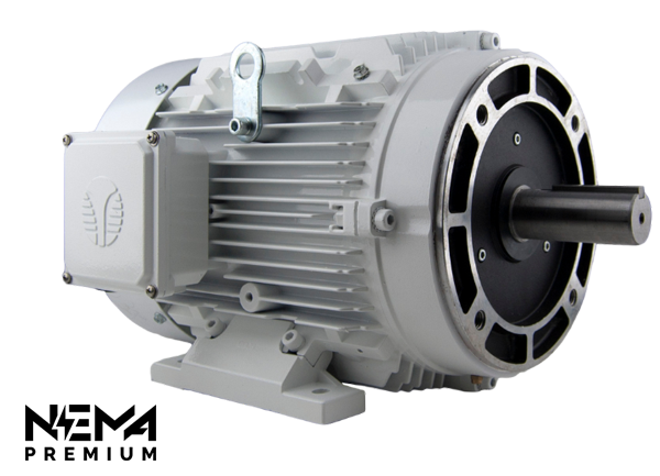 TechTop WX3-AL-TF-213TC-4-B-D-7.5 Electric Motor