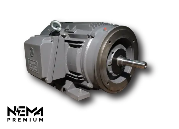 TechTop XR3-AL-TF-56J-2-B-D-3 Electric Motor