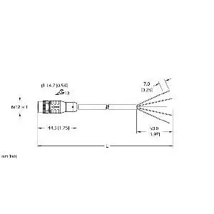 TURCK - EKRB-A5.500-GC2K-2 - 100009601 - CORDM12HYDRA
