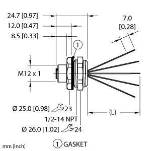 TURCK - EFKBH-A5.500.2-5 - 100020183 - RECEPTM12HYDRA