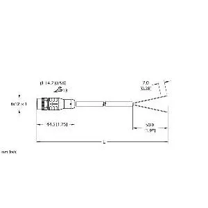 TURCK - EKRB-A4.300-GC2K-5 - 100025266 - CORDM12HYDRA