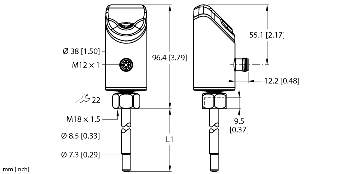 Turck FS101-300L-00-2UPN8-H1141