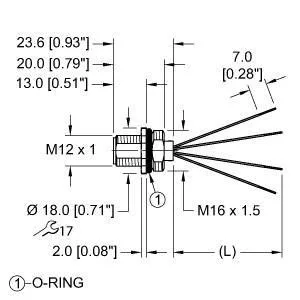 TURCK - FS46PS-1/M16 - "U2-28501 - RECEPT,M12POWERFAST"