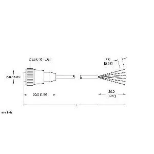 TURCK - RKM 61-12M - U5159-4 - CORD7/8 MINIFAST