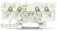 WAGO Shield terminal block; rail mount; 4-conductor; 6.2 mm wide; white