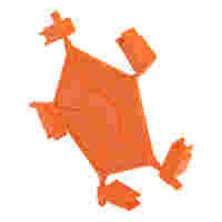 Coding pin carrier; 5 coding keys; orange