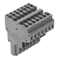 2-conductor female connector; CAGE CLAMP®; 4 mm²; Pin spacing 5 mm; 7-pole; coding finger; 4,00 mm²; gray