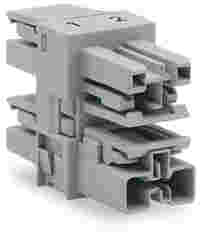 WAGO 3-way distribution connector; 2-pole; Cod. B; 1 input; 3 outputs; gray