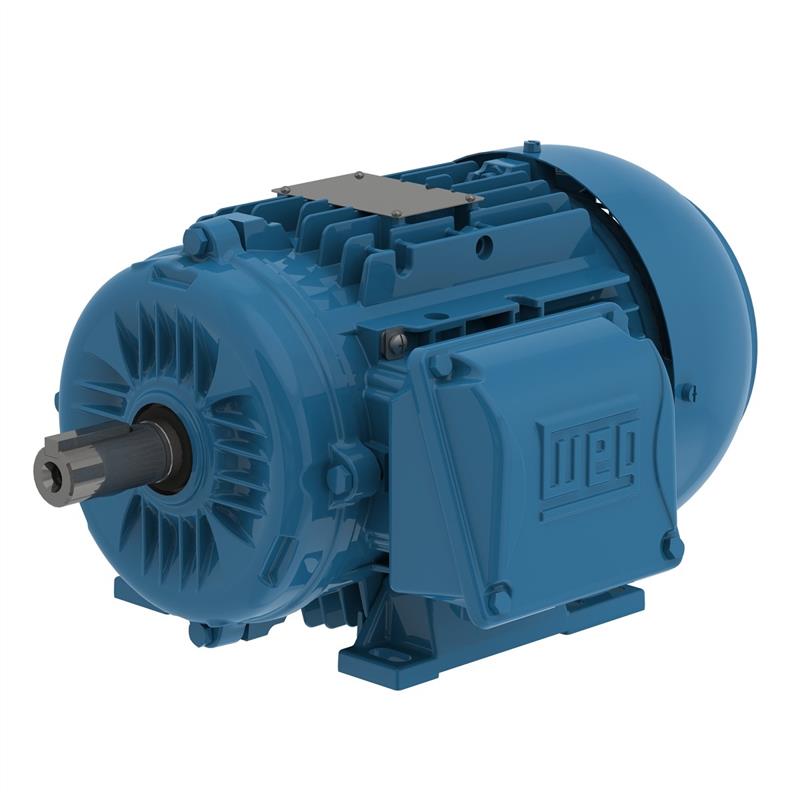 WEG 00718ET3EAL132M-W22 WEG Motor (10 HP, 1800//1500 RPM, 3 Phase, 132M Frame, TEFC Enclosure, 230/460//190/380 Voltage)