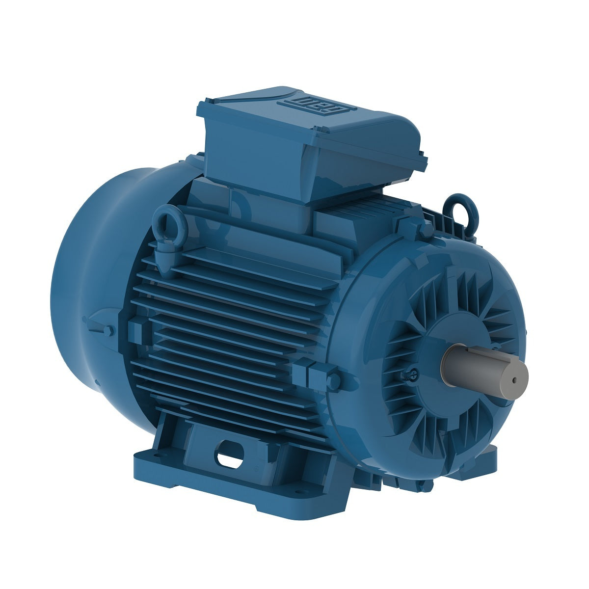 Weg Electric E01112ET3YAX160LF3-W, 15 HP, 160L Frame, 1000 RPM, 380-415/660//440-460 Vac, TEFC, 3 PH, Foot-mounted, W22Xec IE3.