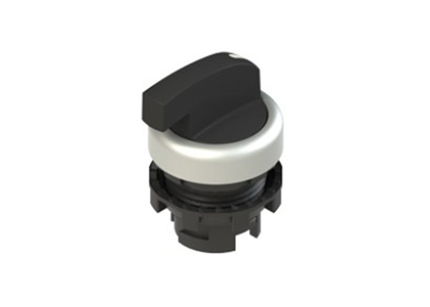 Pizzato E2 1SE23FCE19AB - Safety switches