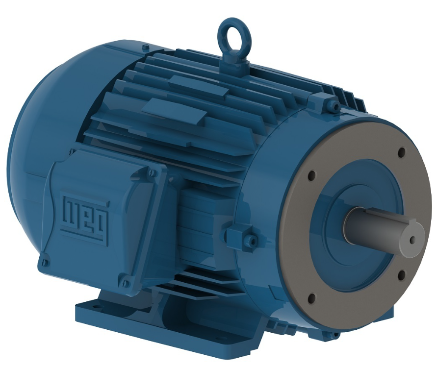 WEG 00318ET3EBM182T-W22