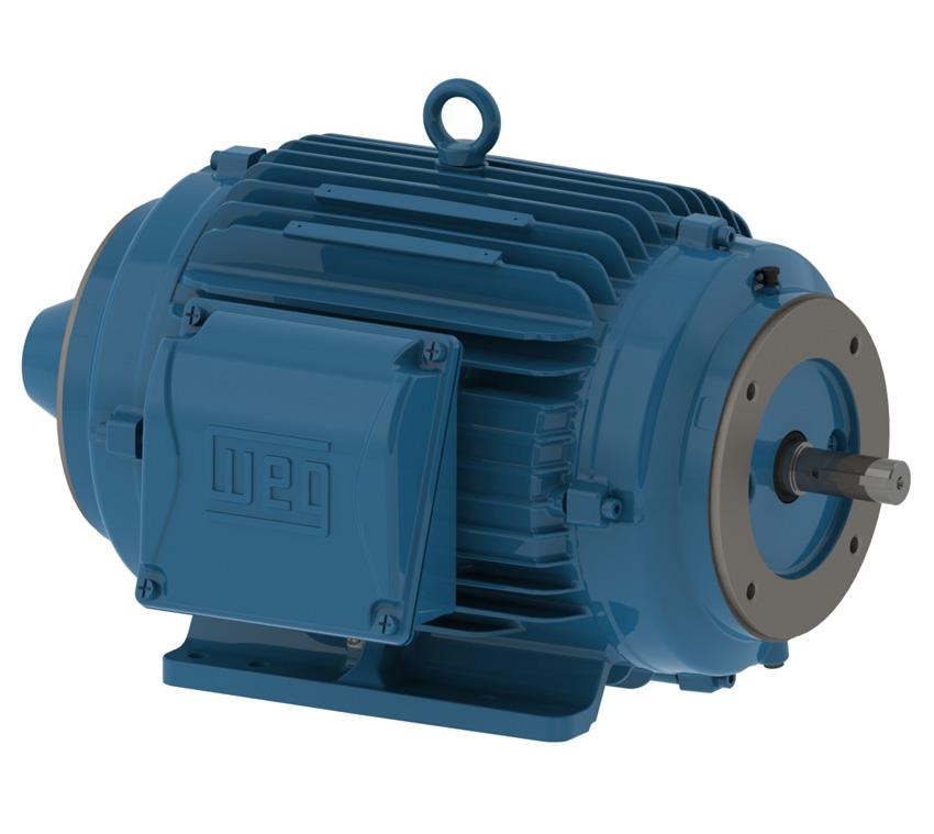 WEG 00718NT3FVD213TC-W22