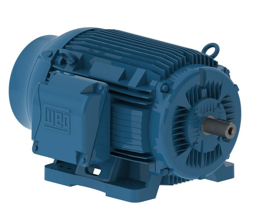 WEG 06018ET3E364TS-W22