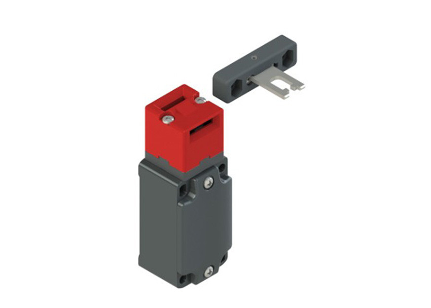 Pizzato FD 2093-F7M2