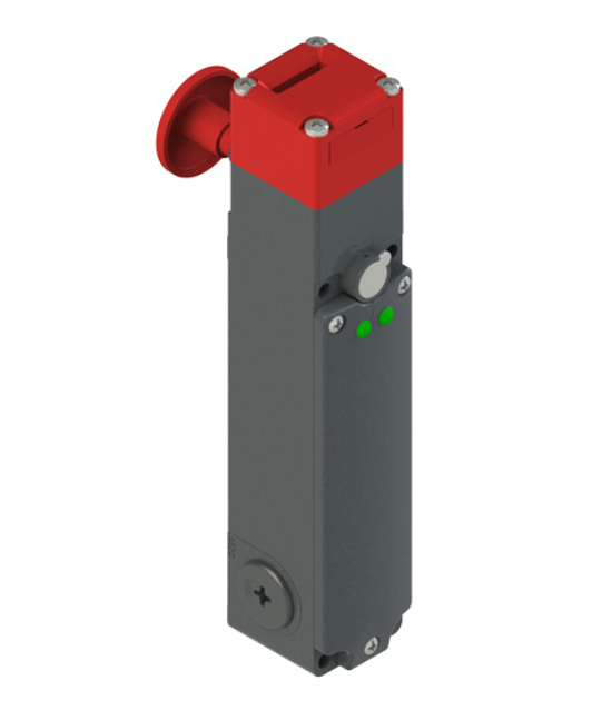 Pizzato FG 60YD7E0A-LPRG