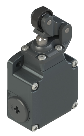 Pizzato FL 1102-M2R24