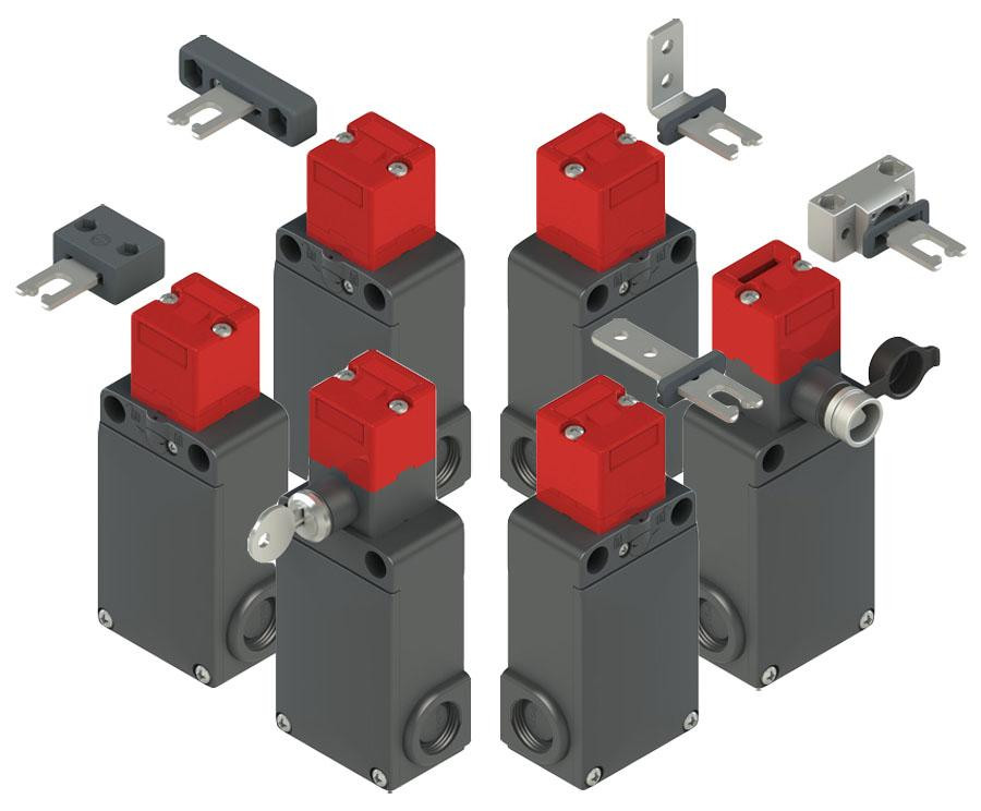 Pizzato FS 2096D024-F7