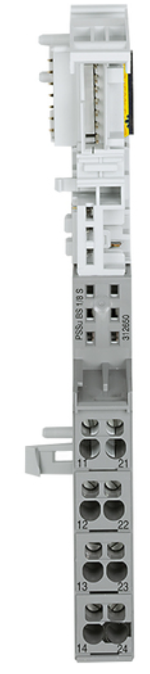 Pilz 312650