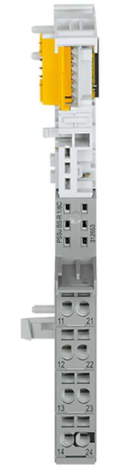 Pilz 312653