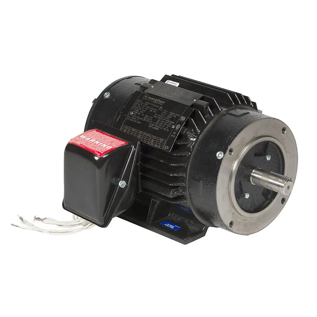 Leeson high efficiency AC induction motor - 145THTN17034