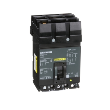 Schneider Electric FA36100
